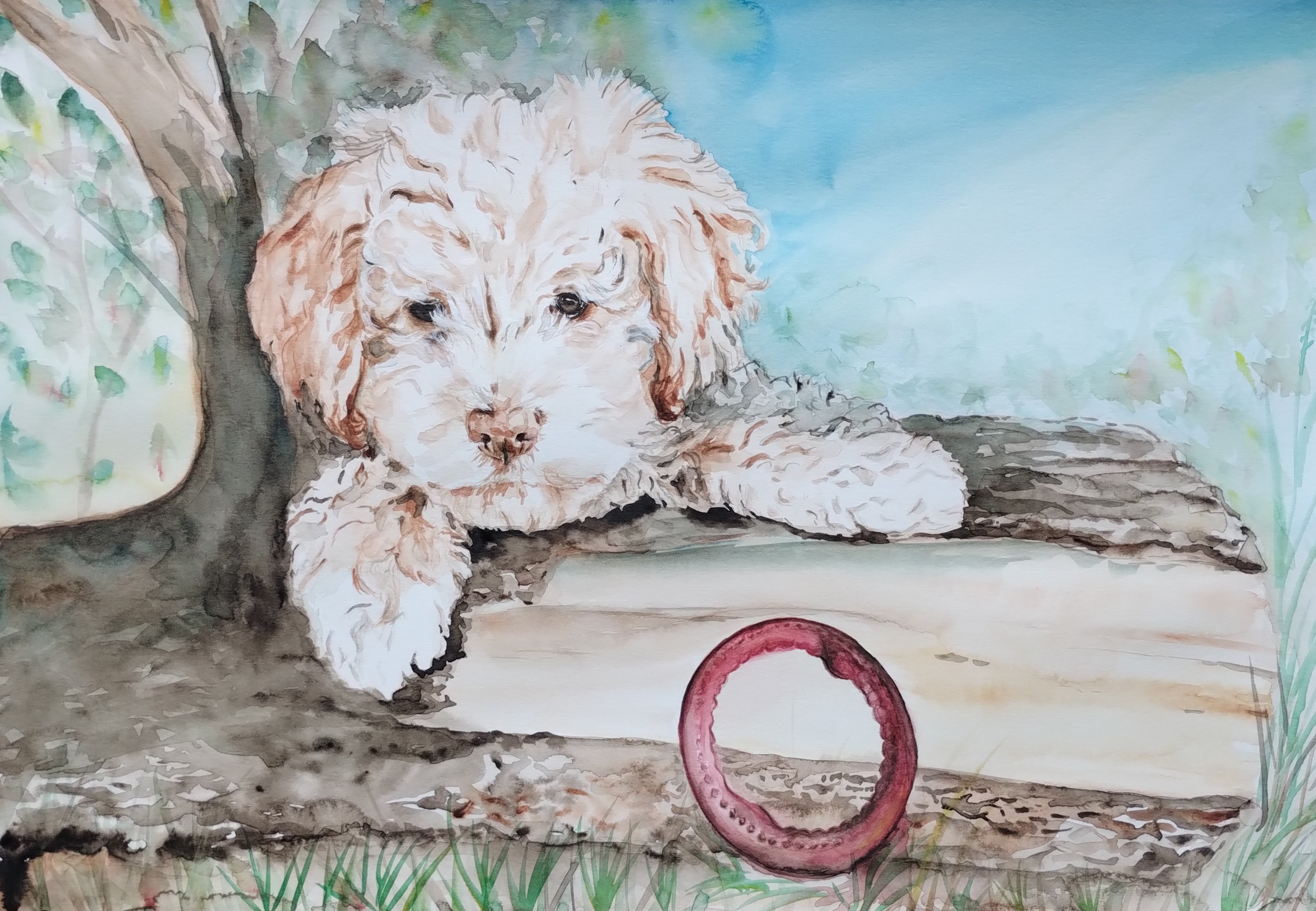 akvarel portrét podle fotek